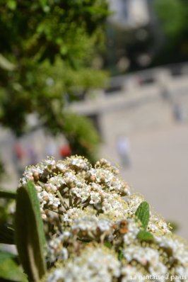 Les Arènes de Lutèce