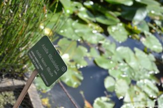 Le Jardin des Plantes by La Nantaise