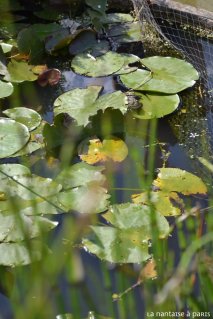 Le Jardin des Plantes by La Nantaise