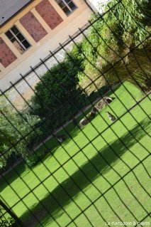 Le Jardin des Plantes by La Nantaise