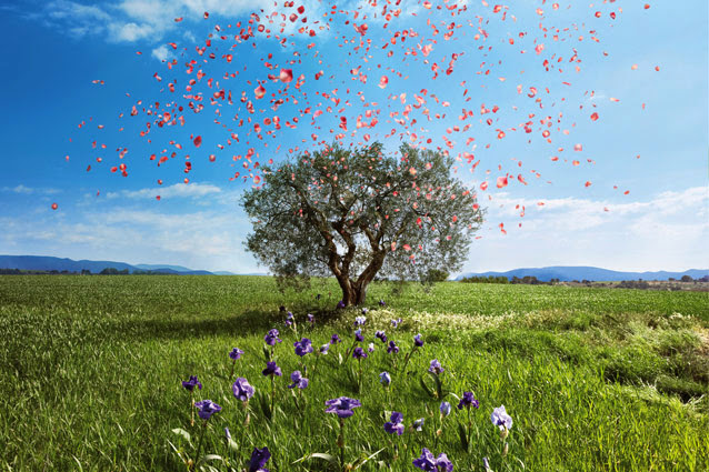 L'Occitane dans ma valise