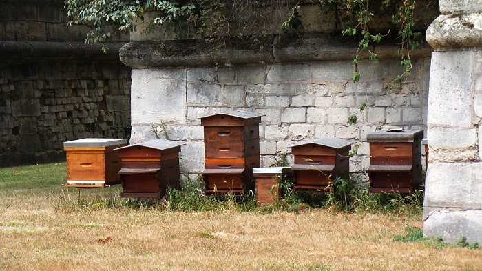 Le Miel de Paris. Mouffetard Addict (2)