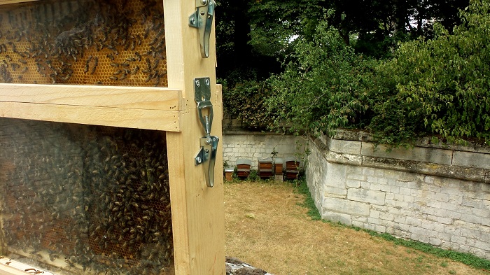 Le Miel de Paris. Mouffetard Addict (4)