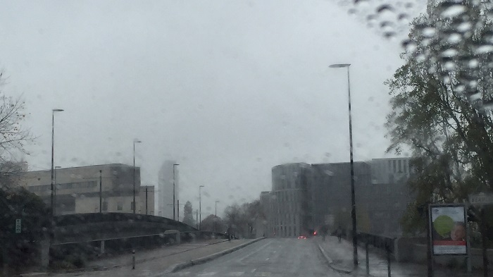 La Nantaise a Paris. Retrospective (7)