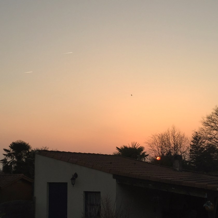 La Nantaise à Paris. Retrospective 20160319 (3)