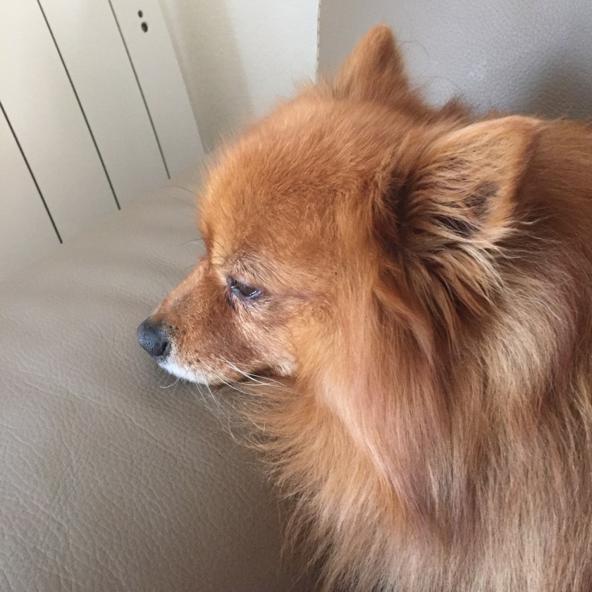 La Nantaise à Paris. Retrospective 20160319 (5)