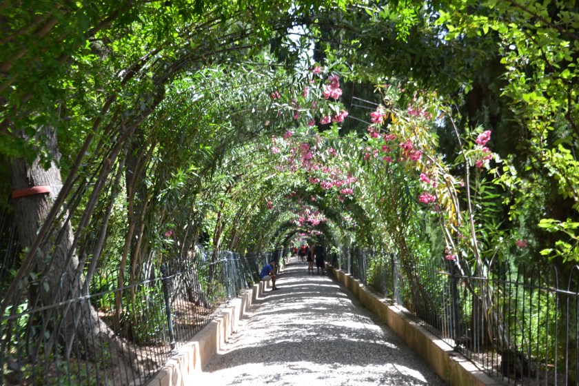 Alhambra Granada Andalousie NantaiseàParis (6)