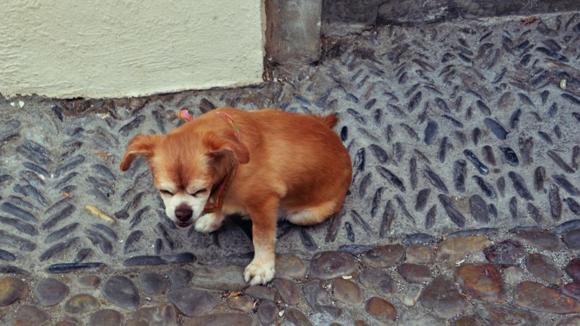 Grenade Albaicin NantaiseàParis (3)