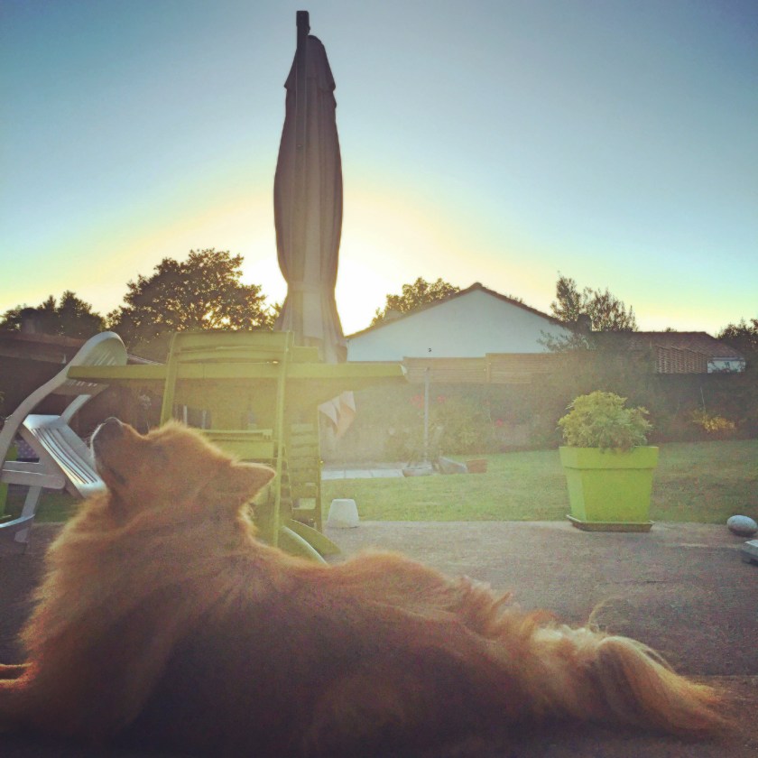 La Nantaise à Paris. Rétrospective 20160827 (2)