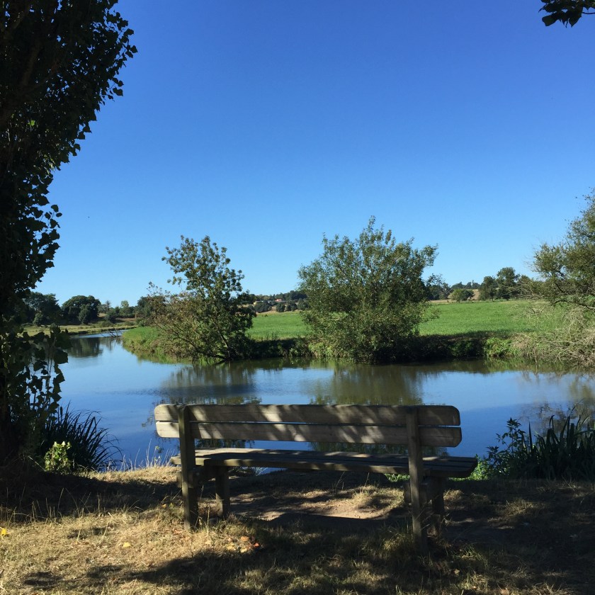 La Nantaise à Paris. Rétrospective 20160827 (3)