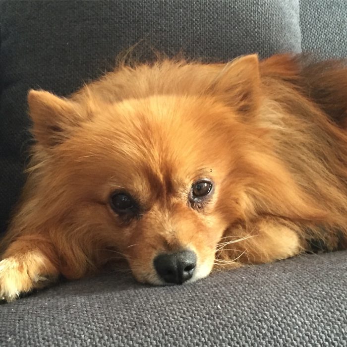 Rétrospective 20160820. La Nantaise à Paris (3)