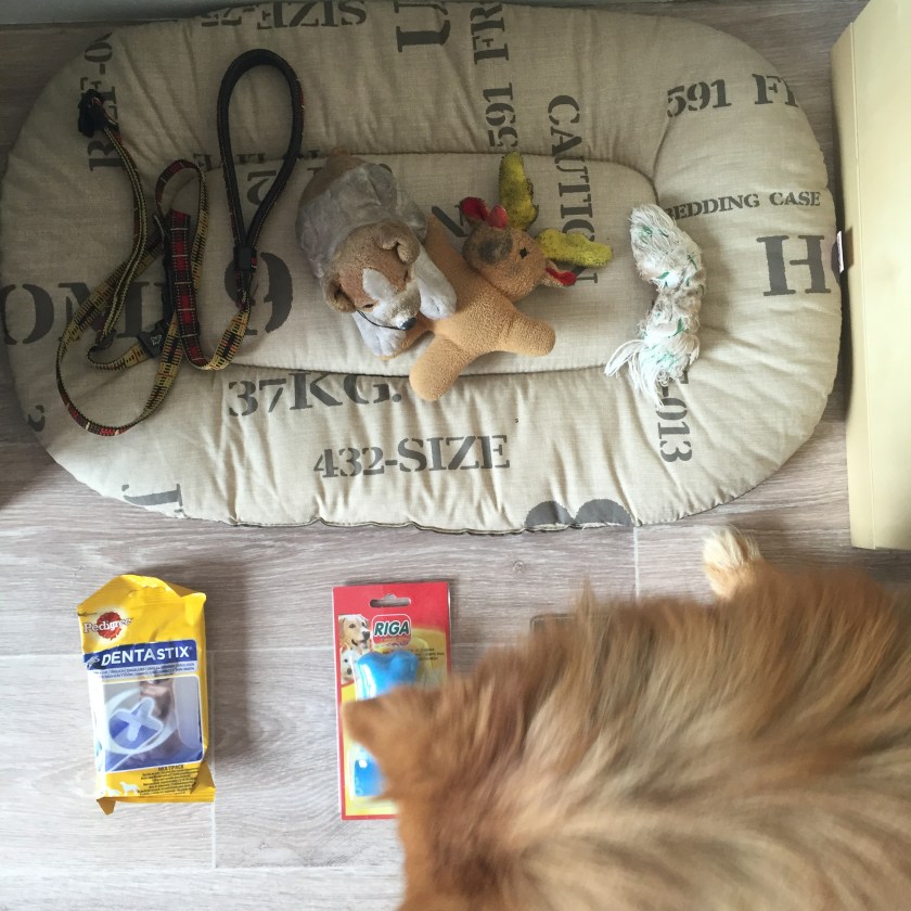 retroscpective-la-nantaise-a-paris-20160910-1