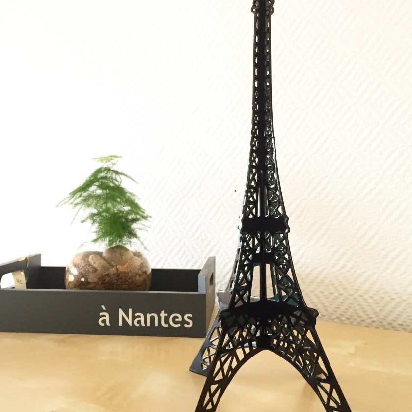 la-nantaise-a-paris-retrospective-20161029-5