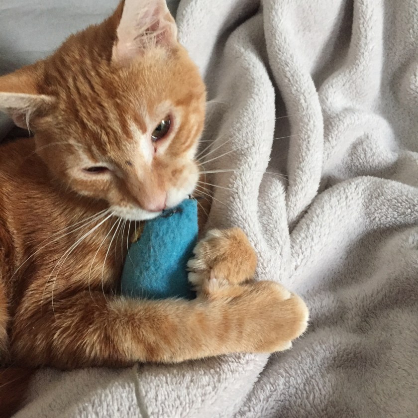 la-nantaise-a-paris-retrospective-20161029-6