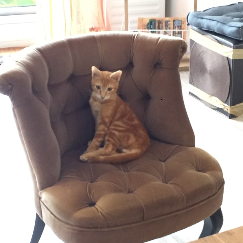 retrospective-lanantaiseaparis-20161015-6