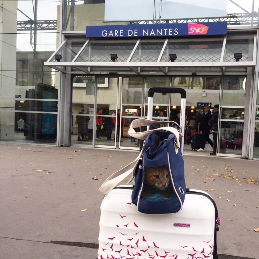 la-nantaise-a-paris-retrospective-20161112-5