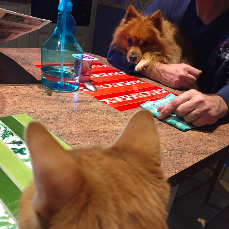 la-nantaise-a-paris-retrospective-20161112-8