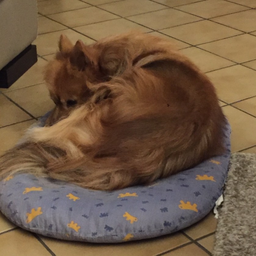 la-nantaise-a-paris-retrospective-20161119-3