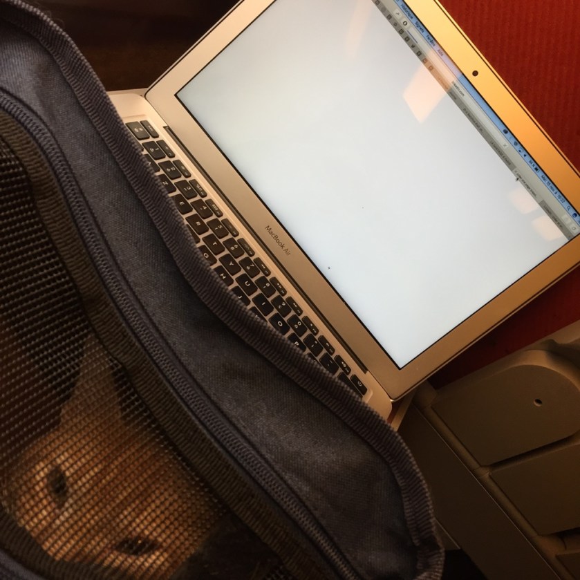 la-nantaise-a-paris-retrospective-20161119-4