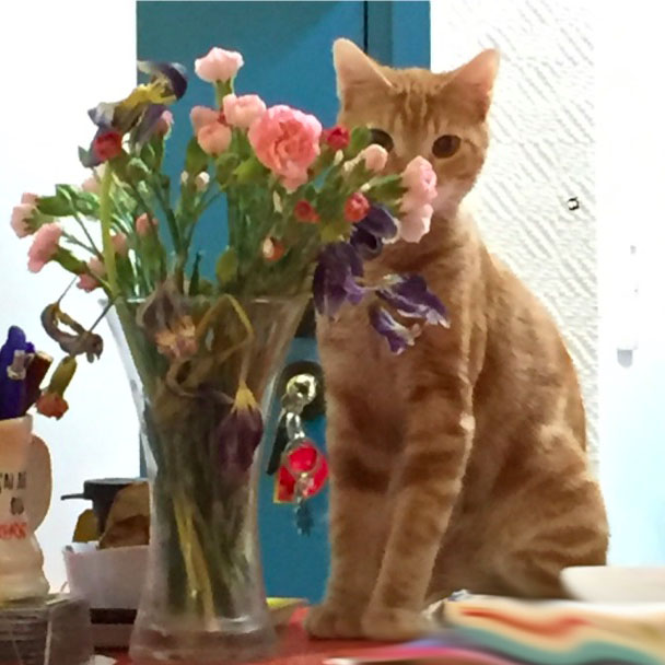 la-nantaise-a-paris-retrospective-20161119-9