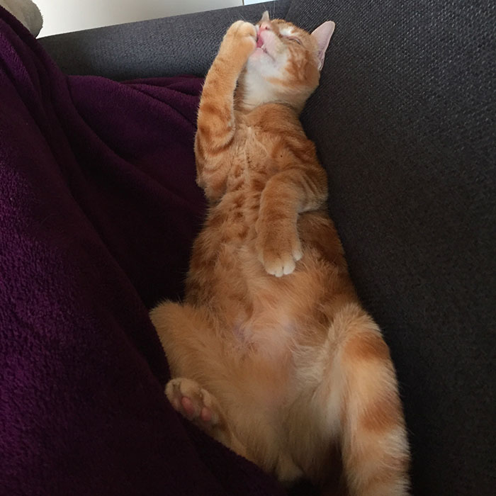 retrospective-20161105-la-nantaise-a-paris-4jpg