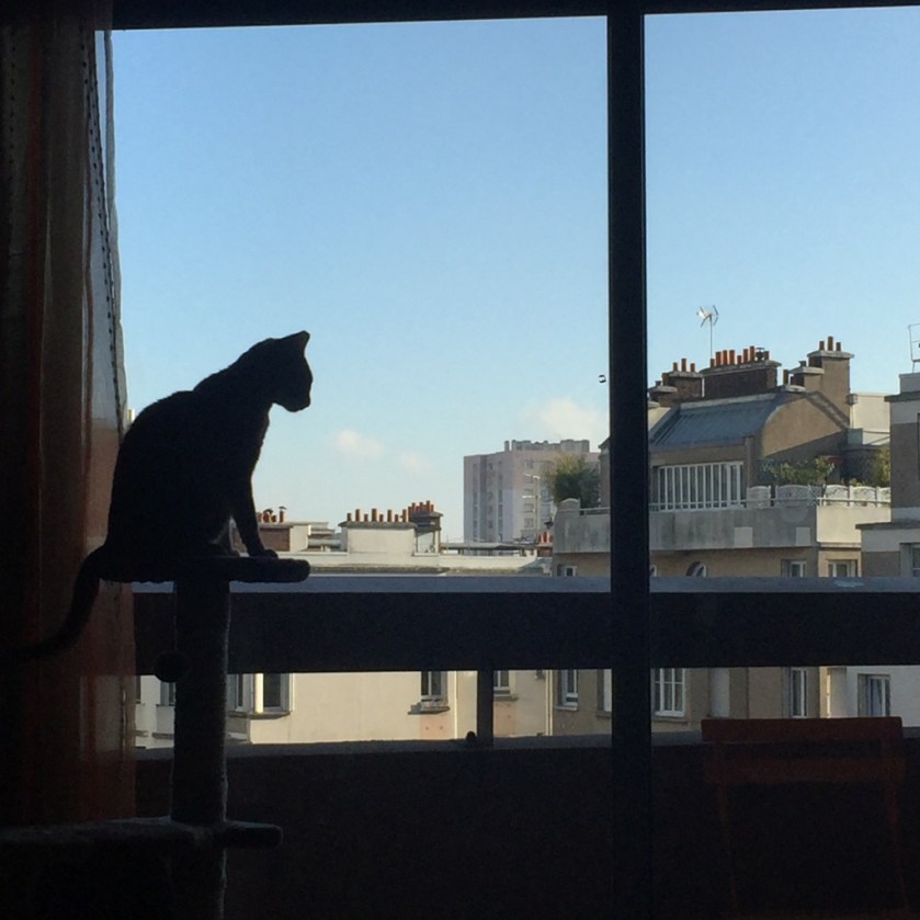 la-nantaise-a-paris-retrospective-20161203-6