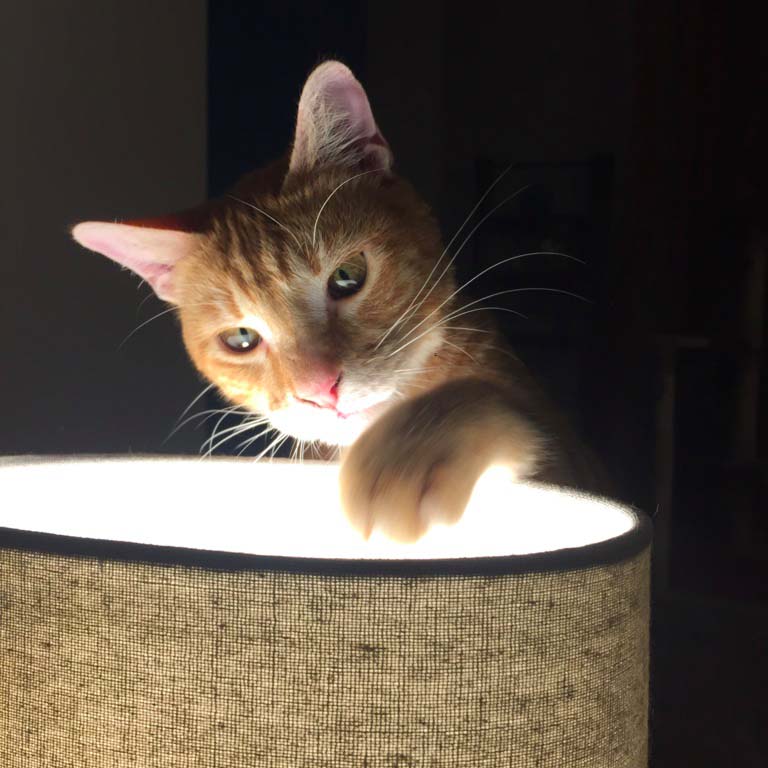 la-nantaise-a-paris-retrospective-20161210-3