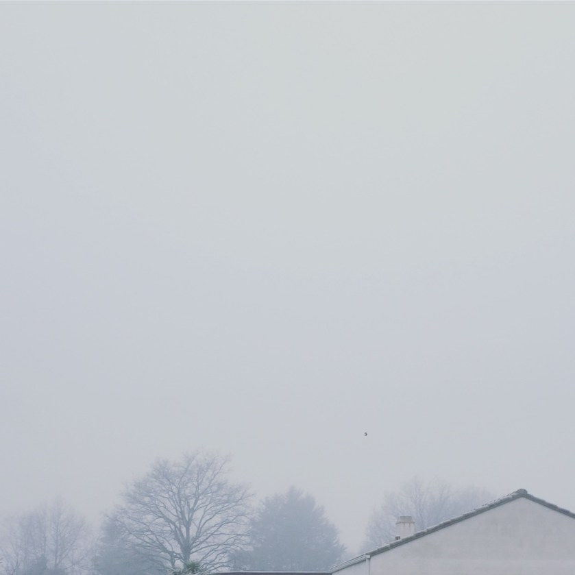 la-nantaise-a-paris-retrospective-201612131-1