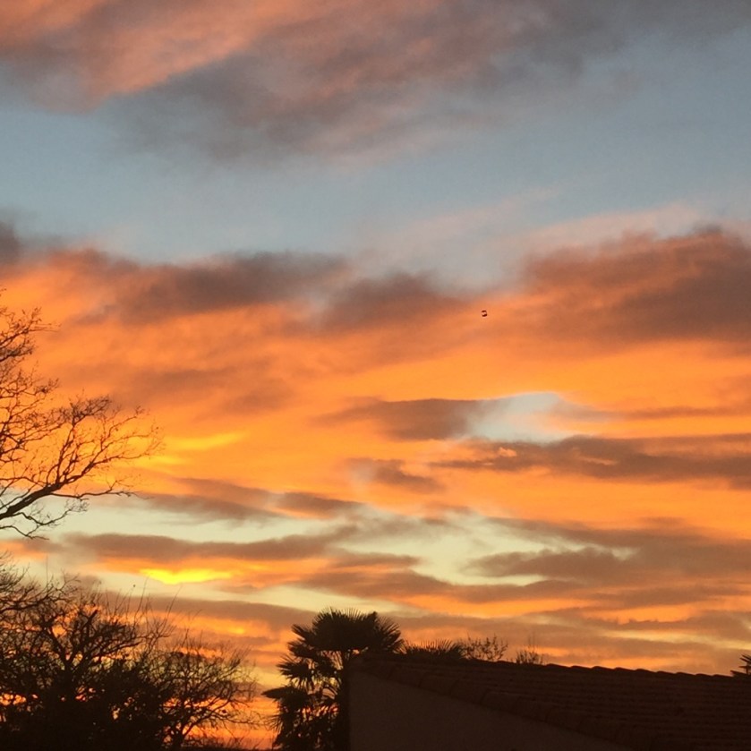 la-nantaise-a-paris-retrospective-201612131-4