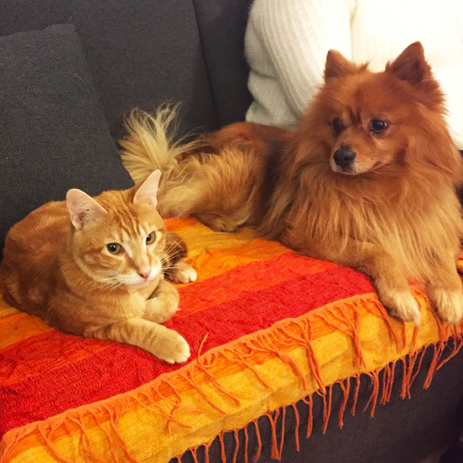 la-nantaise-a-paris-retrospective-201612131-7