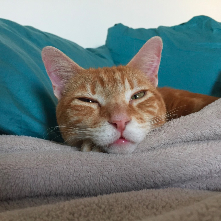 la-nantaise-a-paris-retrospective-20161217-5