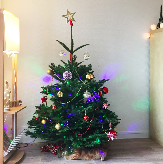 la-nantaise-a-paris-retrospective-20161217-7