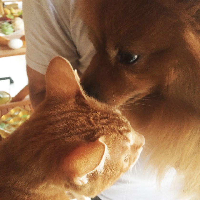 la-nantaise-a-paris-retrospective-20170107-4