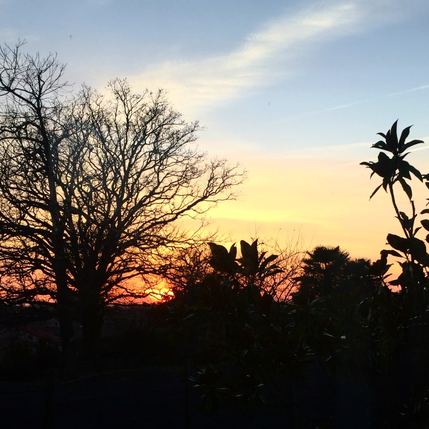 la-nantaise-a-paris-retrospective-20170107-8