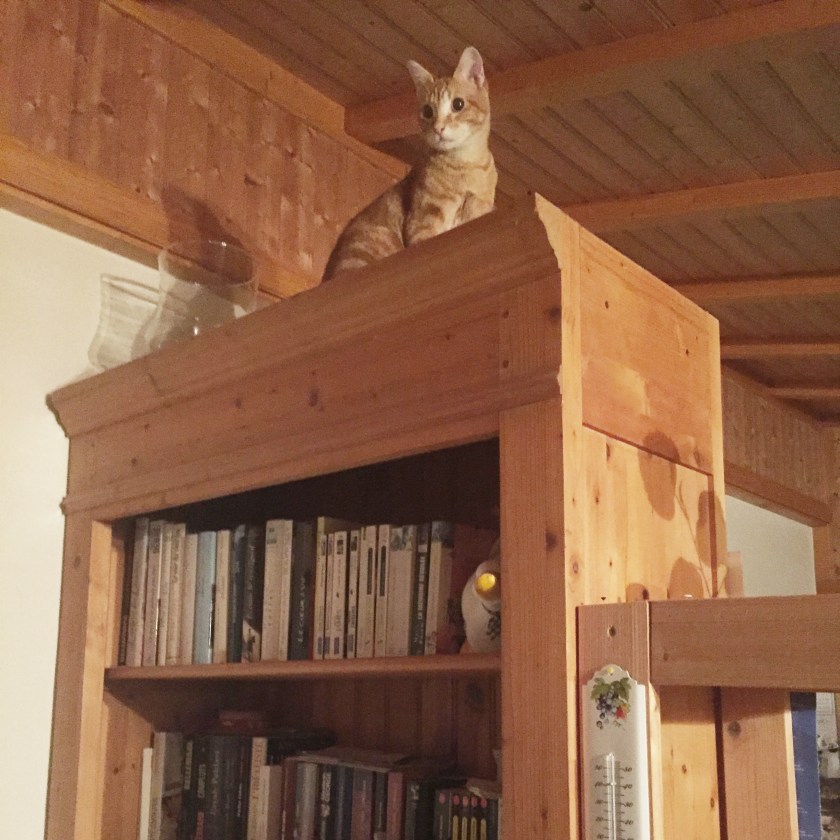 la-nantaise-a-paris-retrospective-20170107-9