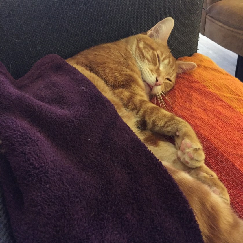 la-nantaise-a-paris-retrospective-20170211-7