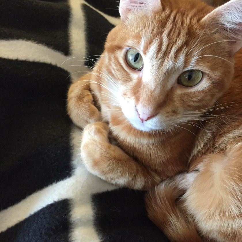 la-nantaise-a-paris-retrospective-20170225-9