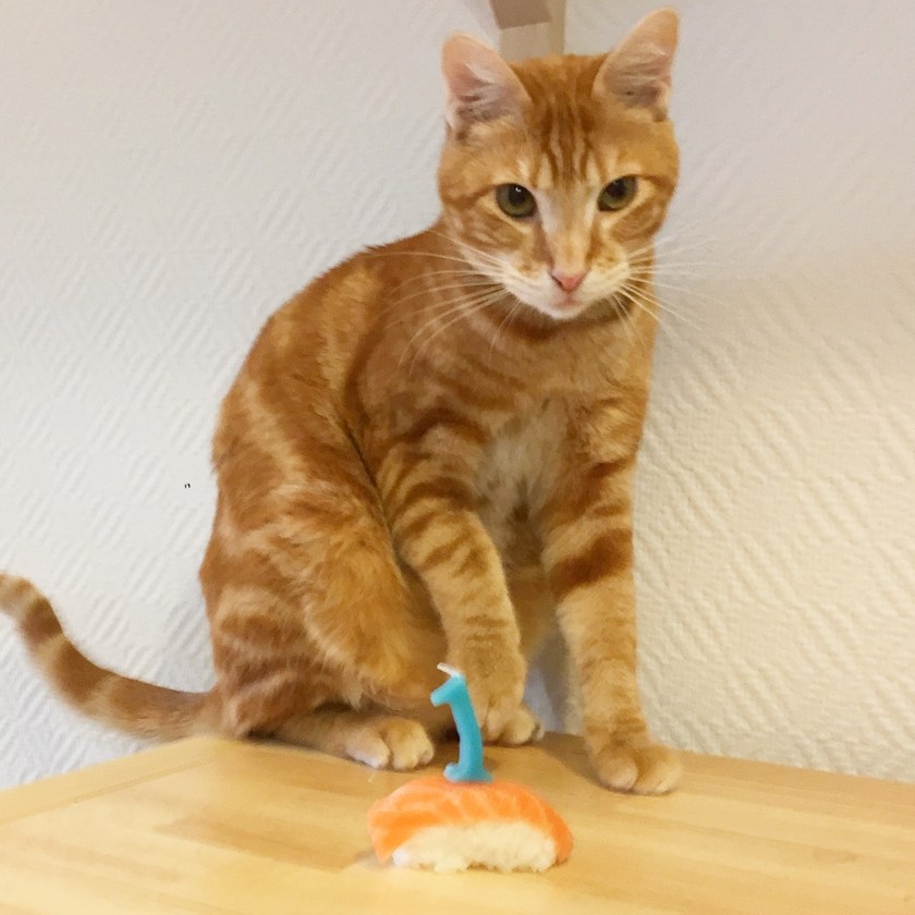 la-nantaise-a-paris-retrospective-20170304-6